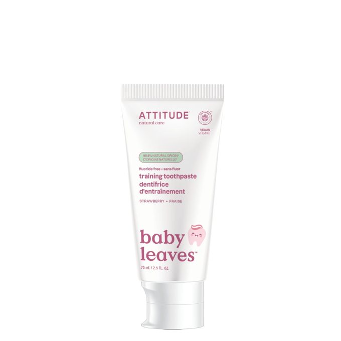 Fluoride-free training toothpaste