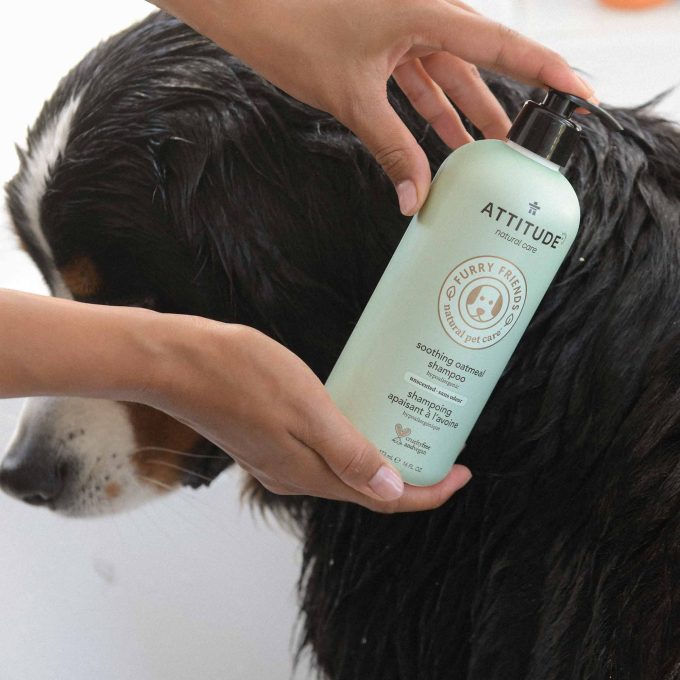 Soothing Oatmeal Shampoo for Pets