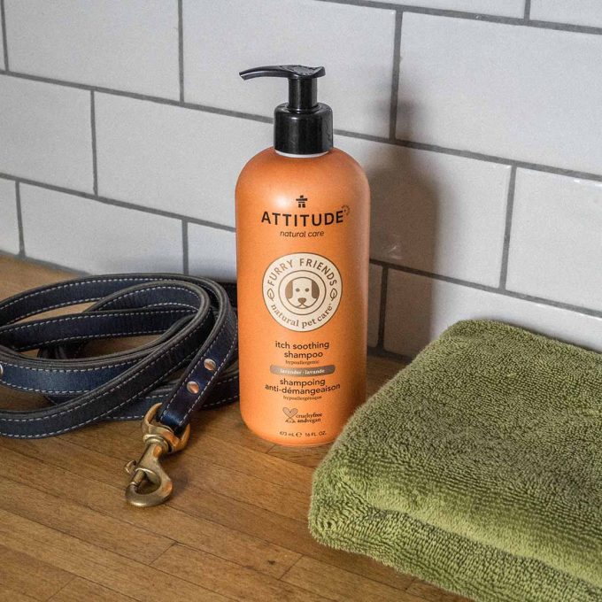 Dry Skin Shampoo for Pets