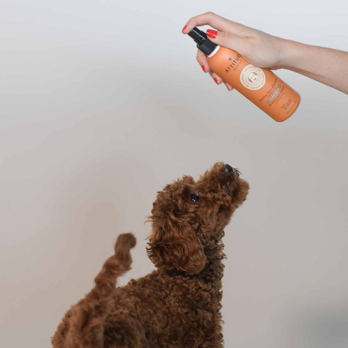 Pet Waterless Anti-Itching Detangling Spray