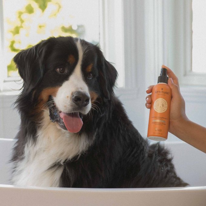 Pet Waterless Anti-Itching Detangling Spray