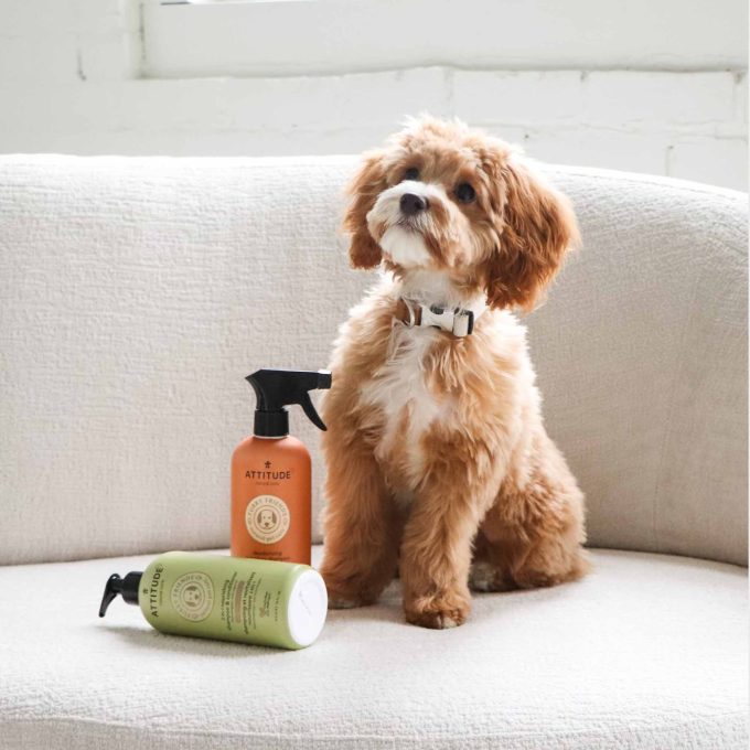 Deodorizing and Anti-Itching Waterless Shampoo