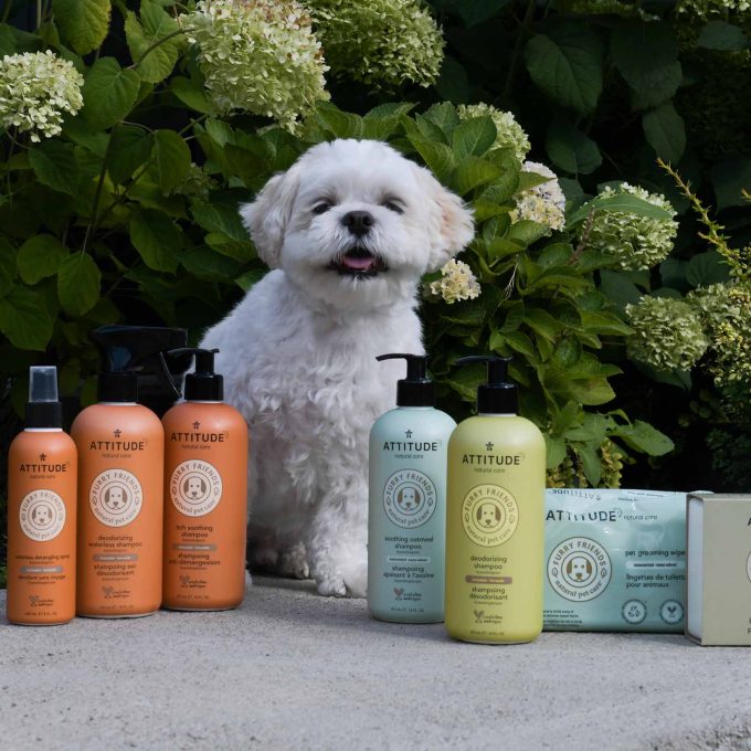 Deodorizing Shampoo for Pets