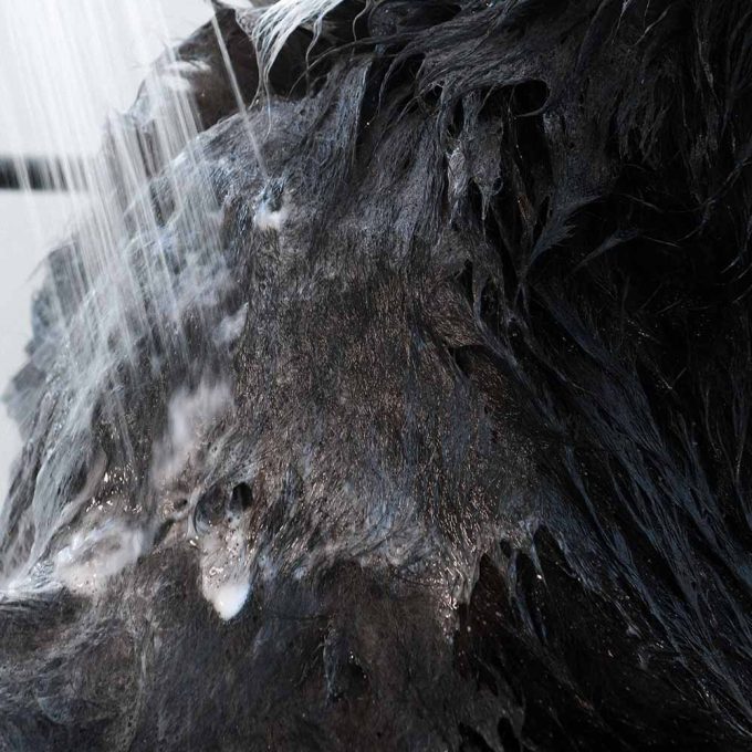 2-in-1 Nourishing Shampoo & Conditioner for Pets