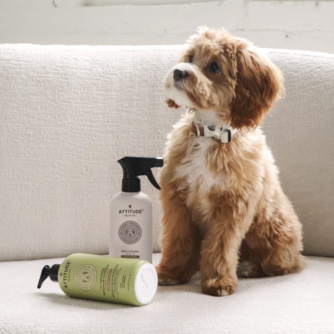 Fabric Refresher for Pets